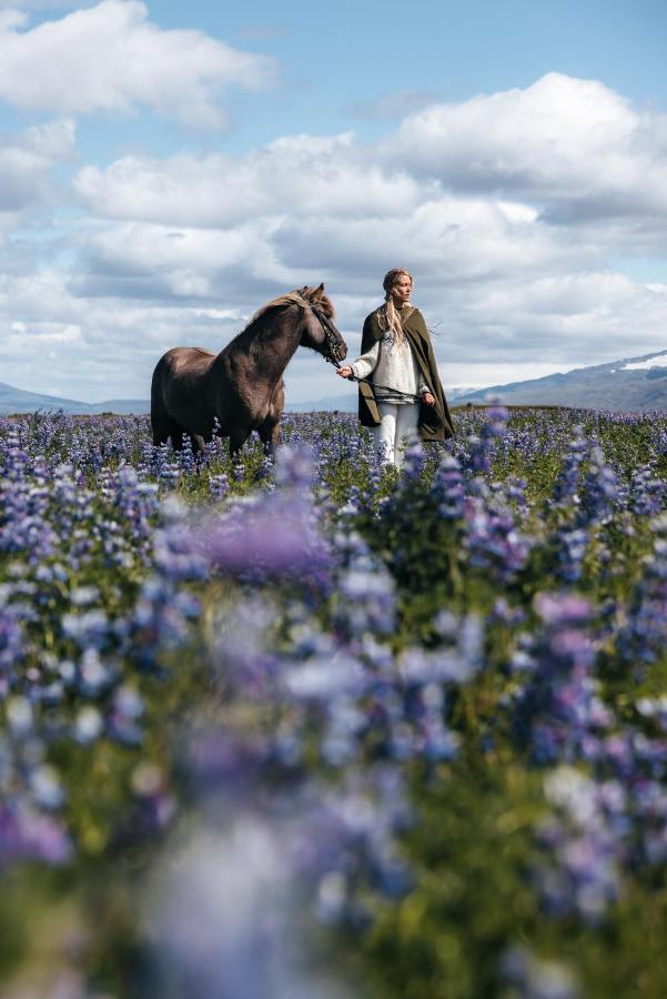 דירות וולסוולור Sleeping With The Horses מראה חיצוני תמונה