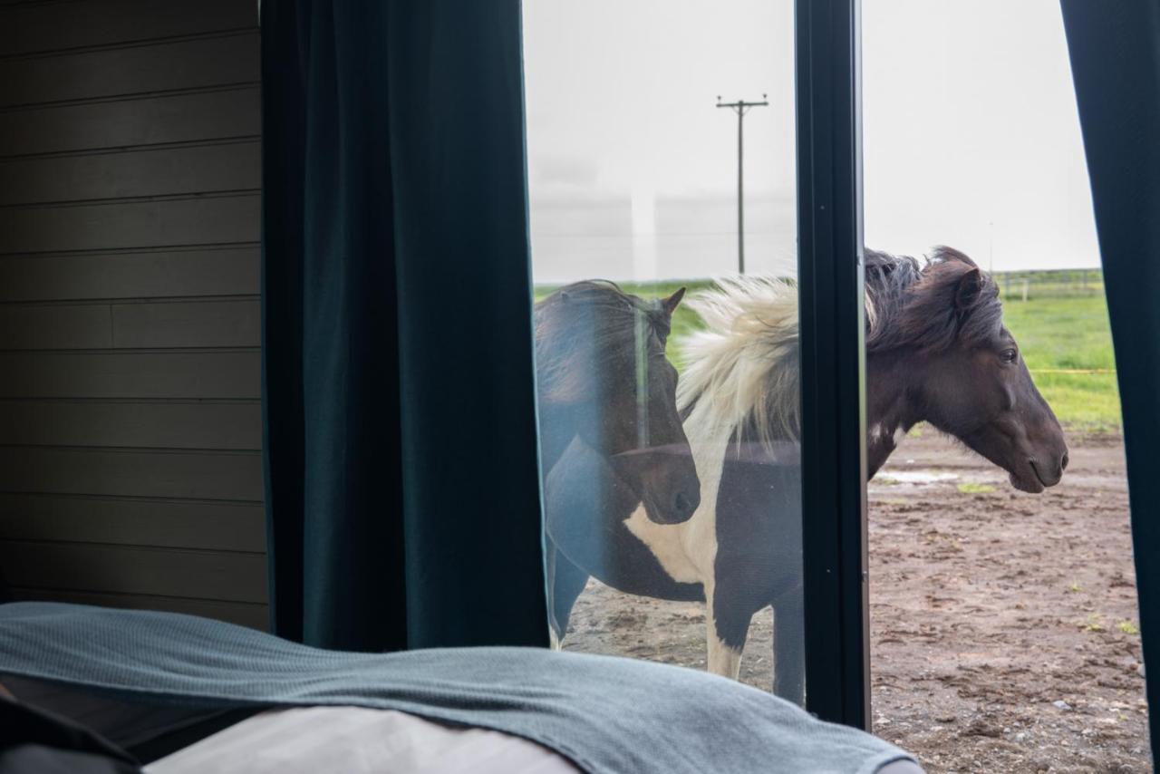 דירות וולסוולור Sleeping With The Horses מראה חיצוני תמונה