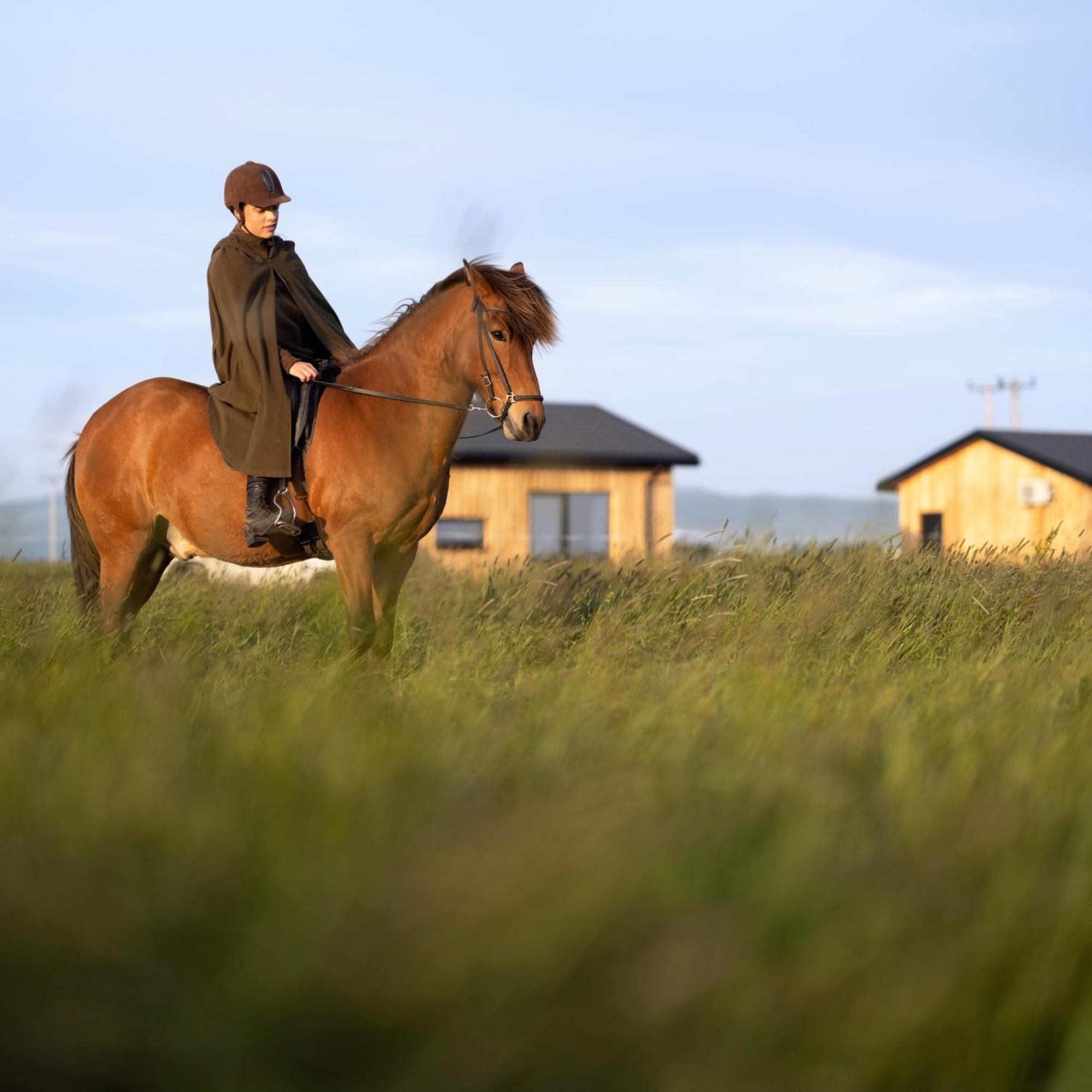 דירות וולסוולור Sleeping With The Horses מראה חיצוני תמונה