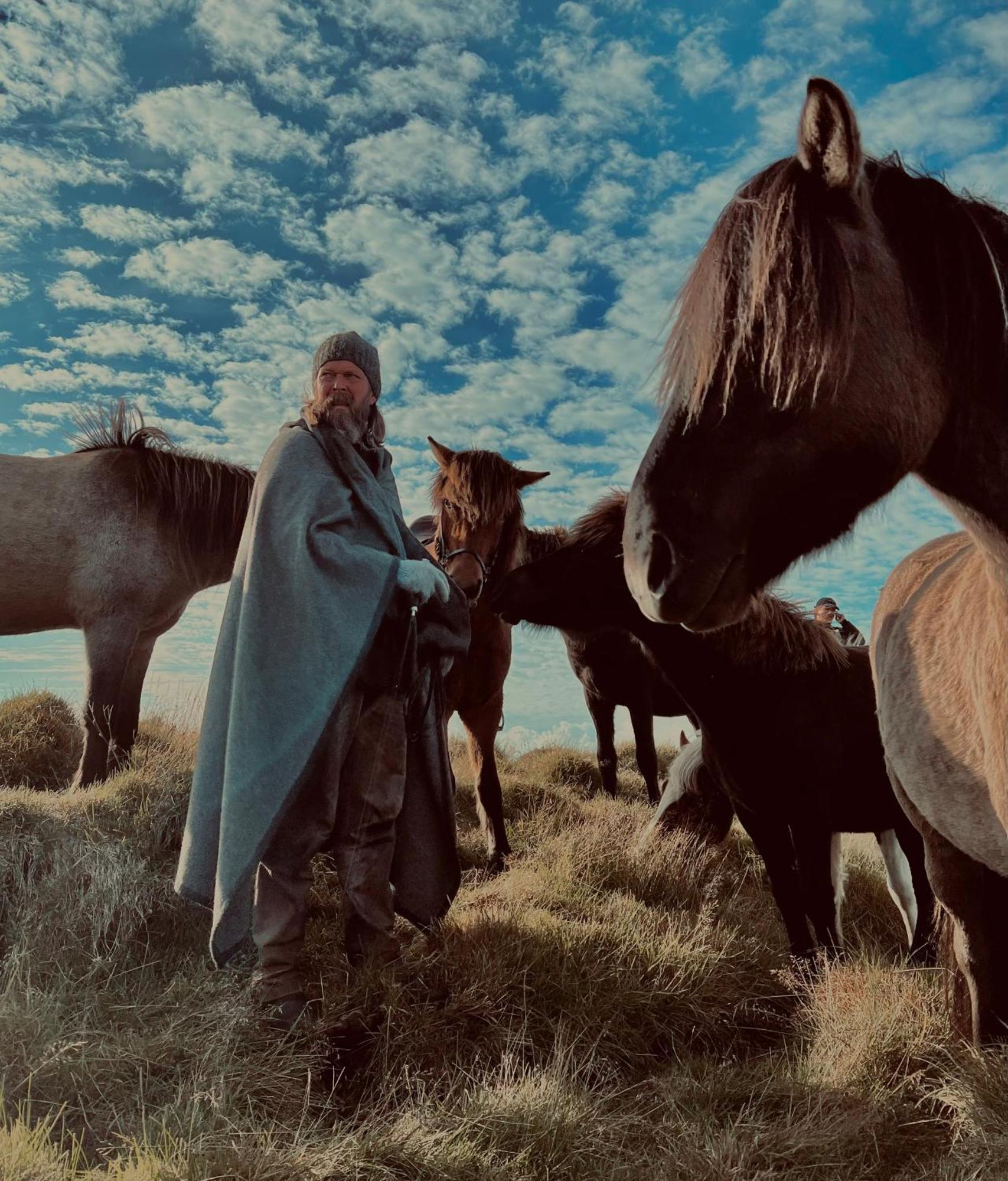 דירות וולסוולור Sleeping With The Horses מראה חיצוני תמונה
