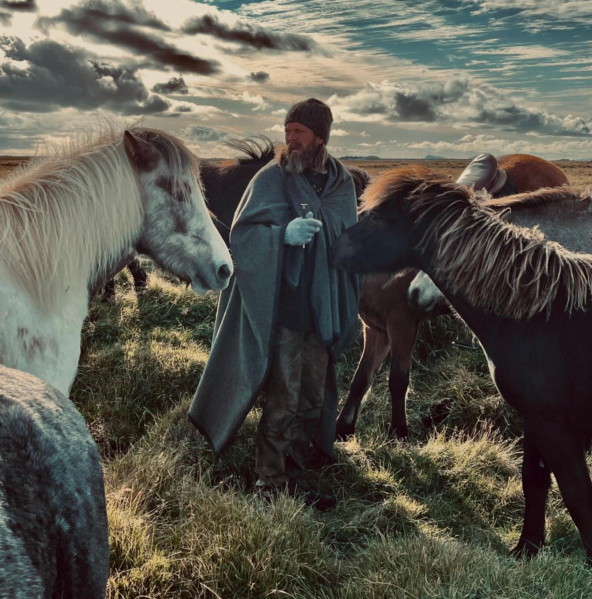 דירות וולסוולור Sleeping With The Horses מראה חיצוני תמונה