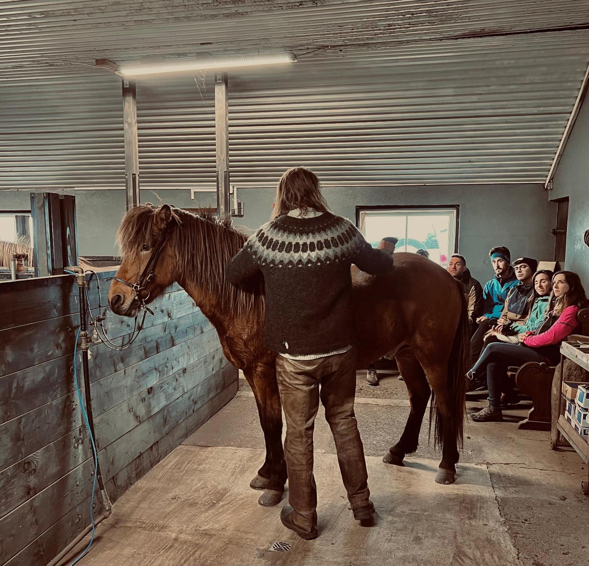 דירות וולסוולור Sleeping With The Horses מראה חיצוני תמונה