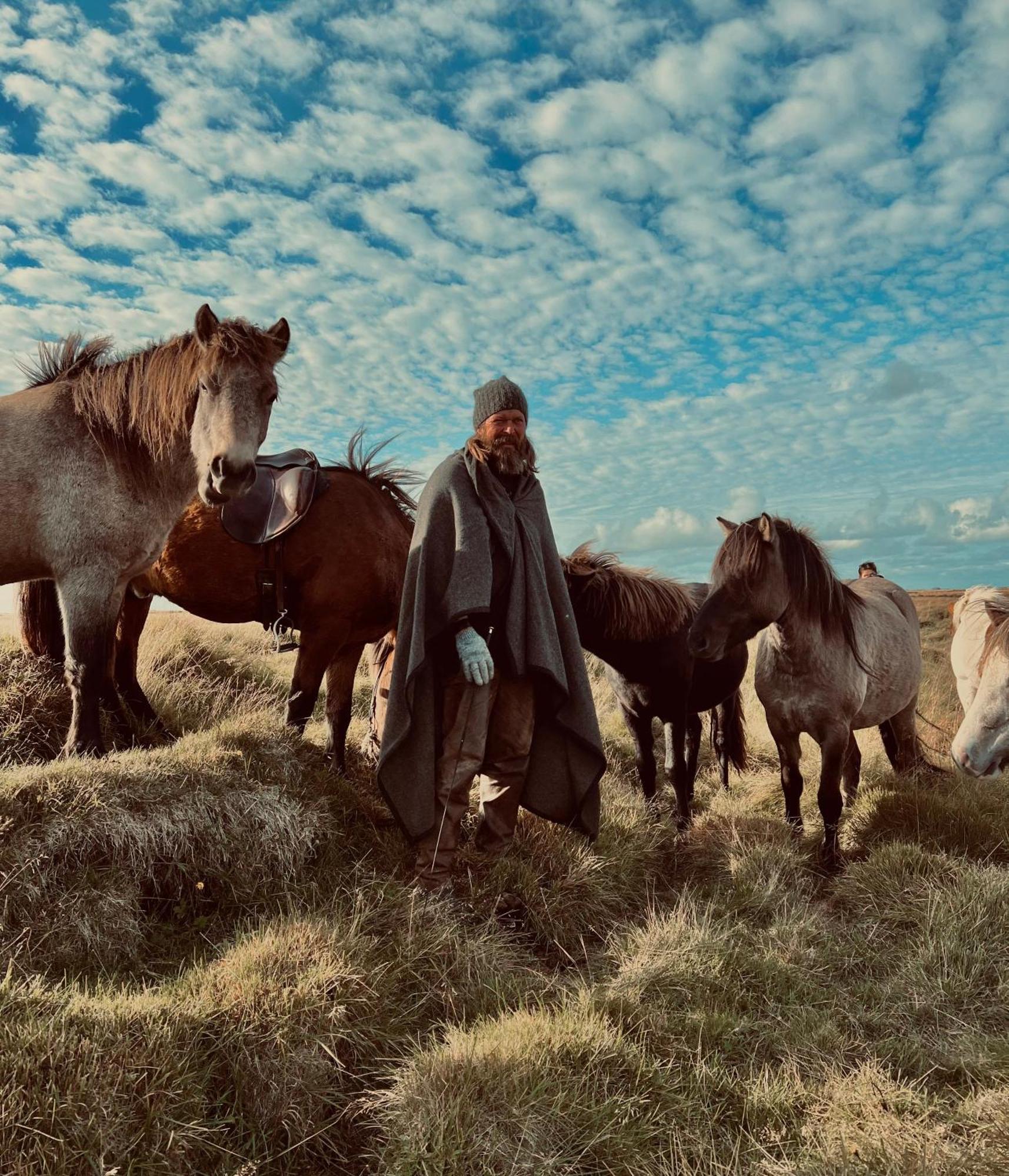 דירות וולסוולור Sleeping With The Horses מראה חיצוני תמונה