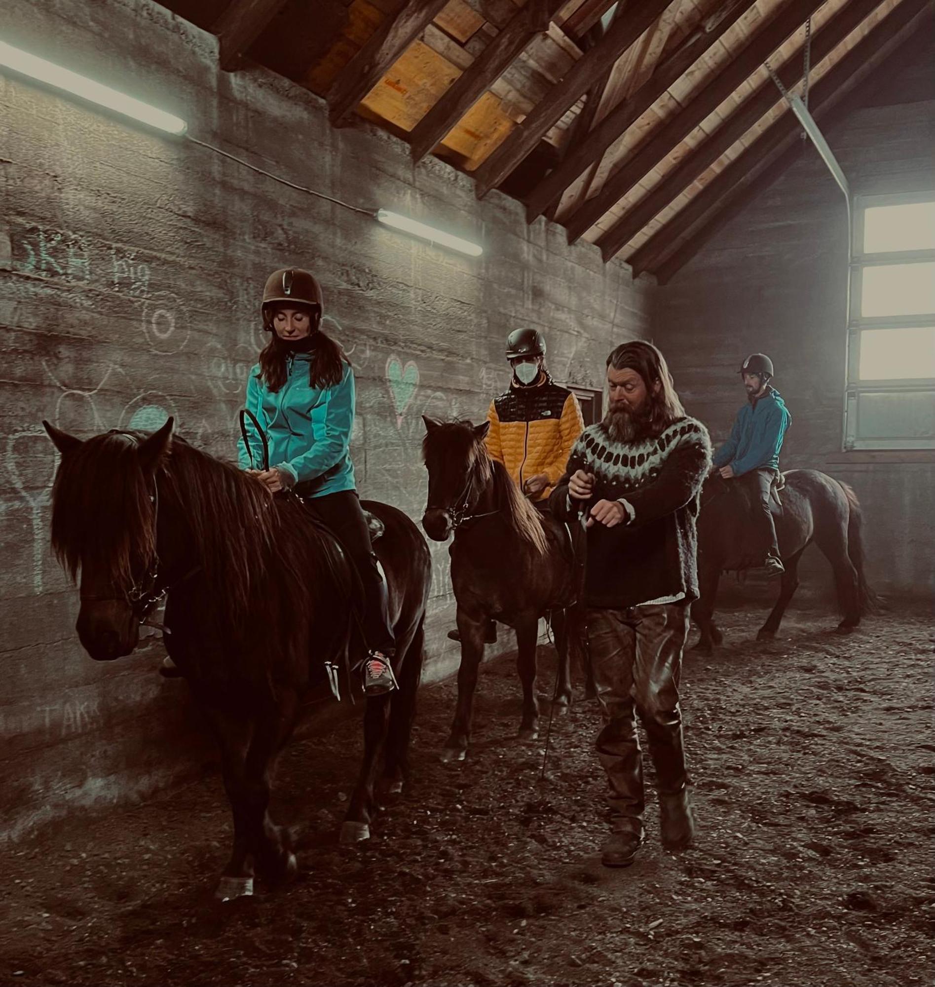 דירות וולסוולור Sleeping With The Horses מראה חיצוני תמונה