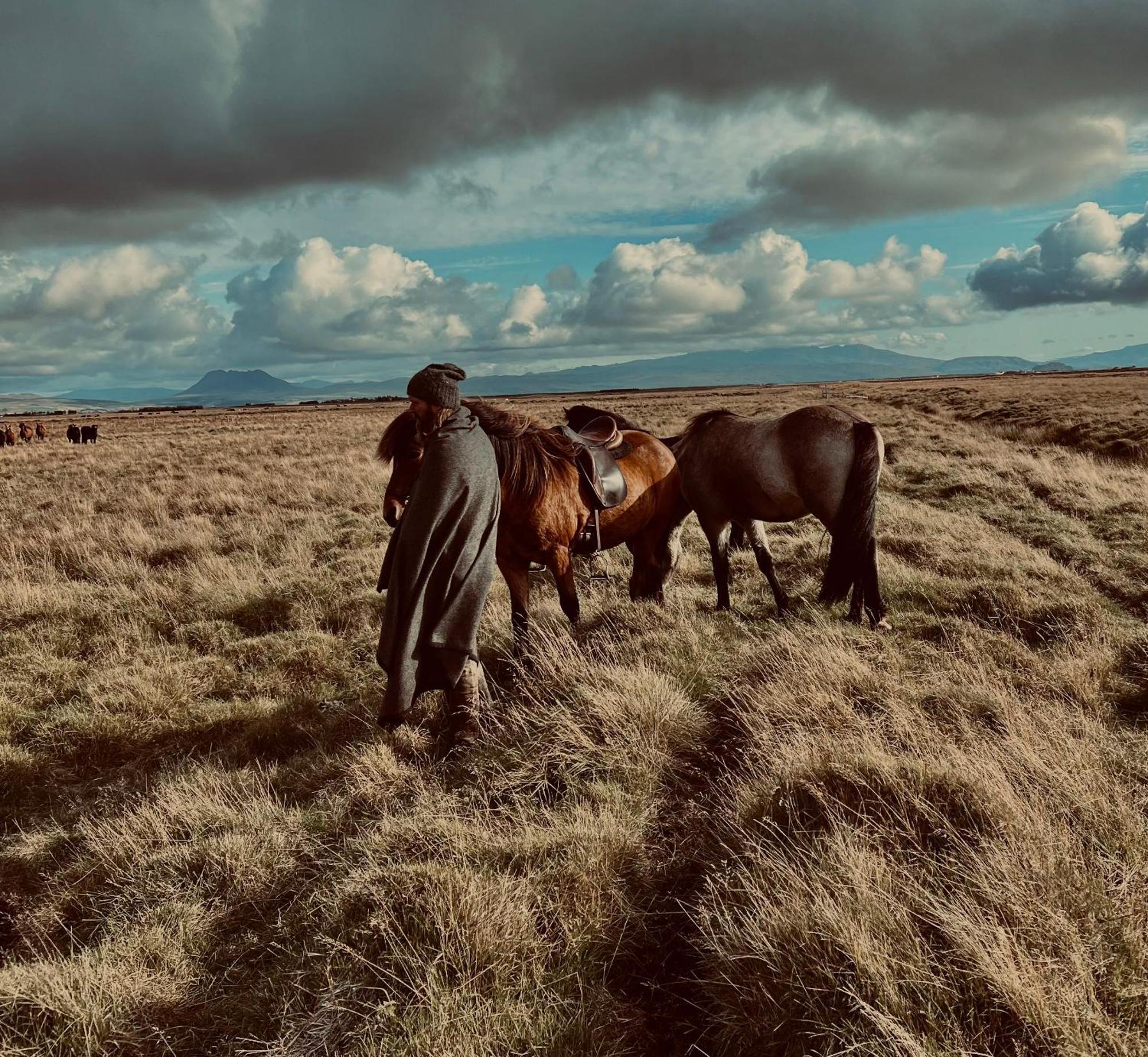 דירות וולסוולור Sleeping With The Horses מראה חיצוני תמונה